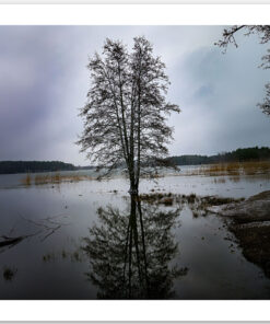 Solitary Reflection