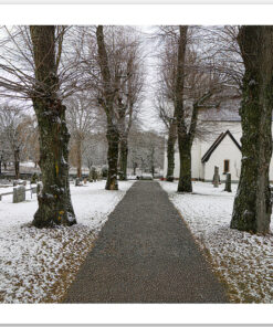 Winter Path to Solitude