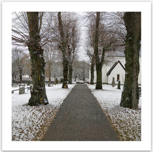 Winter Path to Solitude