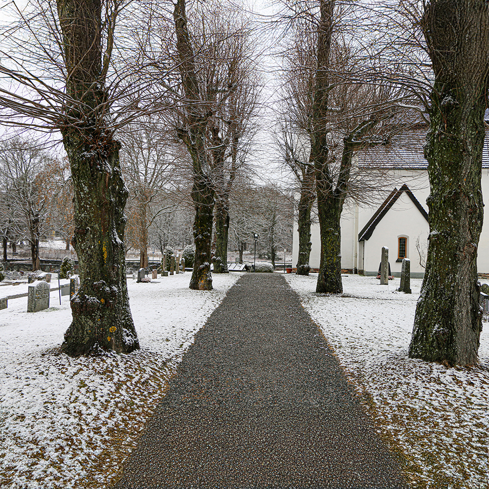 Winter Path to Solitud