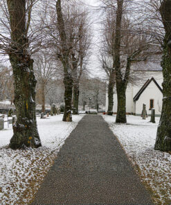 Winter Path to Solitude