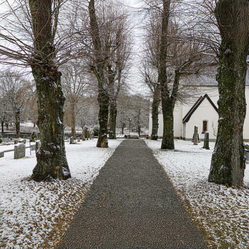 Winter Path to Solitude